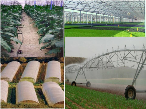 Empresas agrícolas en Baza
