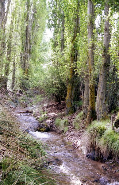 sierrabaza